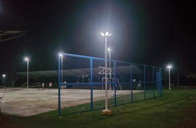 Bezaubernde Abende: Solar Garden Light Exporteur für veranstaltungs orte