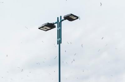 Wie kann man alles in einer integrierten Solars traßen laterne richtig verstehen?